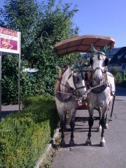 bockwagen in wallbach-1.jpg